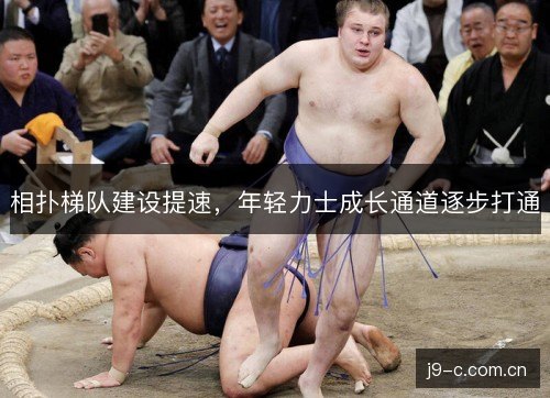 相扑梯队建设提速，年轻力士成长通道逐步打通